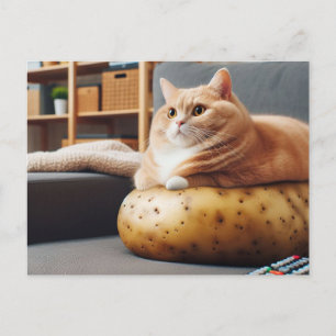 Grappige Bankhanger Kattepotato Briefkaart