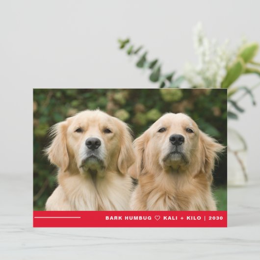 Grappige Bark Humbug Hond Foto Kerstmis Gepersonal Feestdagenkaart (Staand voorkant)