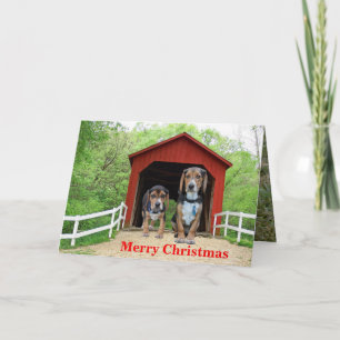 Grappige Beagle Rode Overdekte Brug Kerstmis Feestdagen Kaart