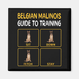 Grappige Belgische Malinoi Gids voor het Trainen v Magneet