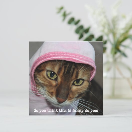 Grappige Bengaalse kat, "Dus je denkt dat dit grap Feestdagenkaart (Staand voorkant)