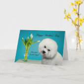 Grappige Bichon Moederdag Kaart (Gele Bloem)