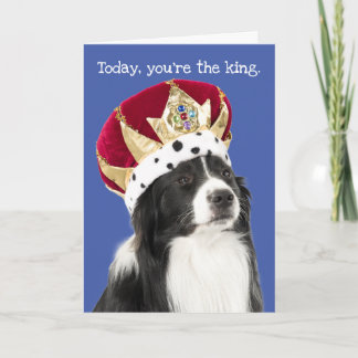 Grappige Border Collie met kroon Vaderdag kaart