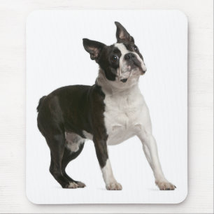Grappige Boston Terrier Cadeaus voor Liefhebbers v Muismat