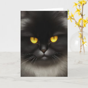 Grappige Boze Fluffy Zwarte Perzische Kitty Kat Ko Kaart
