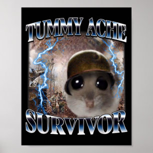 Grappige Buikpijn Overlevende Hamster Meme Poster