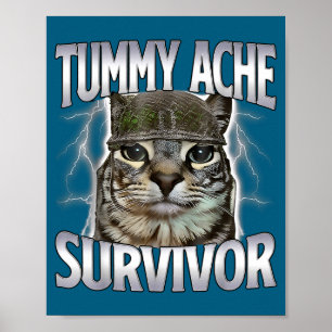 Grappige Buikpijn Overlevende Kat Meme Poster