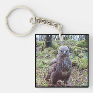 Grappige Buizerd Houding Felle Wilde Roofvogel Sleutelhanger