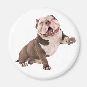 Grappige Bulldog Amerikaanse Bully Liefde Puppy Ho Magneet