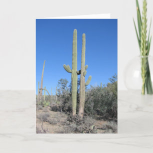 Grappige Cactus Verjaardagskaart Kaart
