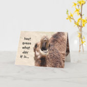 Grappige Camel Hump Dag Verjaardag Kaart (Gele Bloem)