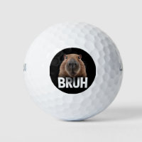 Grappige Capybara Bruh 