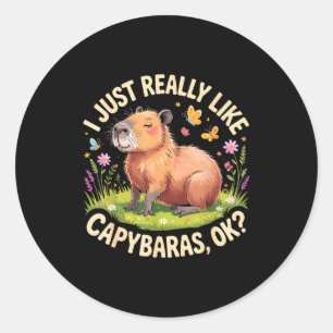 Grappige Capybara Kunst Voor Mannen Vrouwen Kinder Ronde Sticker