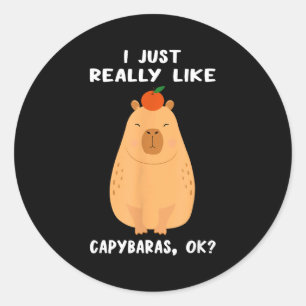 Grappige Capybara-kunst voor mannen vrouwen kinder Ronde Sticker