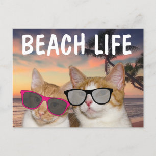 GRAPPIGE CAT BEACH KATTEN BRIEFKAARTEN