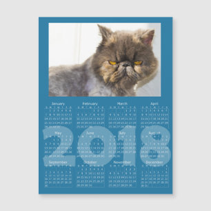 Grappige Cat Blue 2018 Kalender Magnetische Kaart