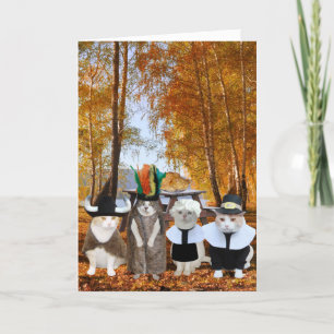 Grappige Cat Lover Thanksgiving Kaart