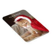 Grappige chagrijnige kat kerstmagneet humoristisch magneet (Rechterzijde)