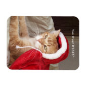 Grappige chagrijnige kat kerstmagneet humoristisch magneet (Horizontaal)