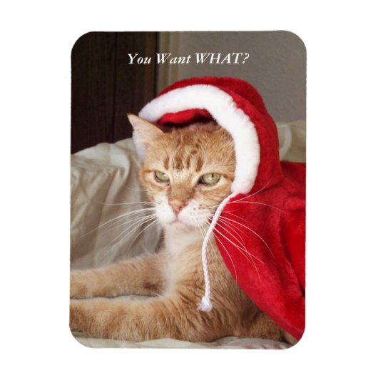 Grappige chagrijnige kat kerstmagneet humoristisch magneet (Verticaal)