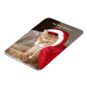 Grappige chagrijnige kat kerstmagneet humoristisch magneet (Linkerzijde)