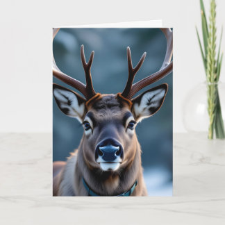 Grappige Chagrijnige Rendier Aanpasbare Foto Kerst Kaart