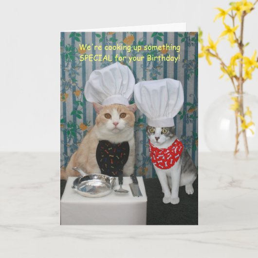 Grappige Chef Katten Verjaardag Kaart (Gele Bloem)