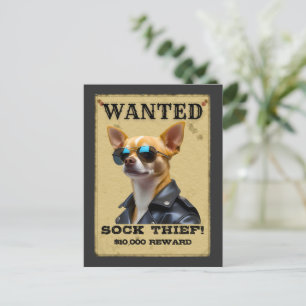 Grappige Chihuahua GEZOCHT Poster met Coole Zonneb Briefkaart