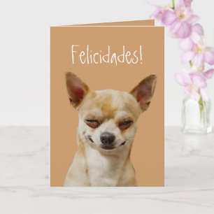 Grappige Chihuahua hond aan te passen voor een ver Kaart