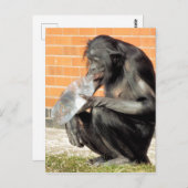 GRAPPIGE CHIMPANSEE BRIEFKAART (Voorkant / Achterkant)