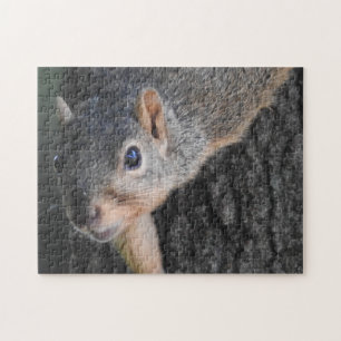 Grappige Close-up Eekhoorn Gezichtsfoto Legpuzzel