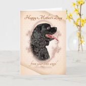 Grappige Cocker Spaniel Moederdag Kaart (Gele Bloem)