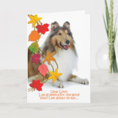 Grappige Collie Thanksgiving Kaart (Voorkant)