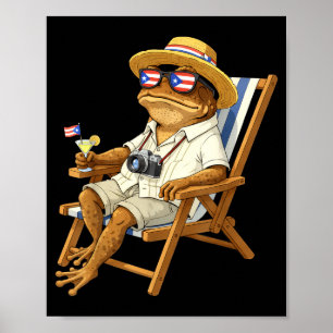 Grappige coqui kikker meme puerto rico vlag bril poster