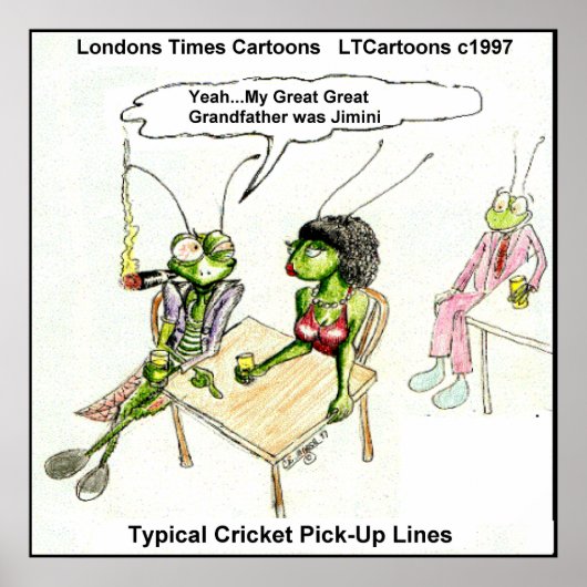 Grappige Cricket Opstapper Poster (Voorkant)