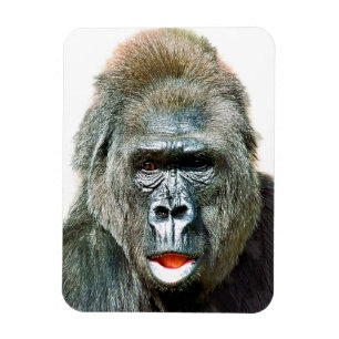GRAPPIGE CUTE GORILLA MAGNEET