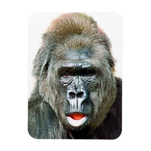 GRAPPIGE CUTE GORILLA MAGNEET (Verticaal)