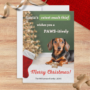 Grappige Dachshond Hond Dier Kerst Humor Feestdagenkaart