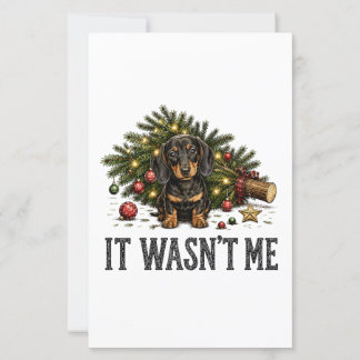 Grappige Dachshund Kerstmis Het Was Ik Niet