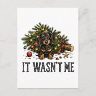 Grappige Dachshund Kerstmis Het Was Ik Niet Uitnodiging Briefkaart