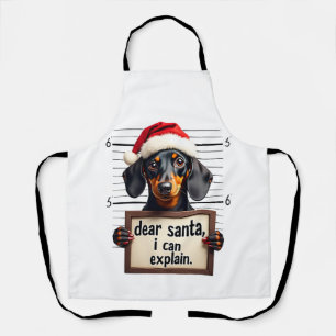 Grappige Dachshund Kerstmis Lieve Sint Ik Kan Het Schort