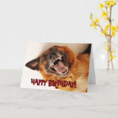 Grappige de verjaardagskaart van de Duitse herder Kaart (Gele Bloem)