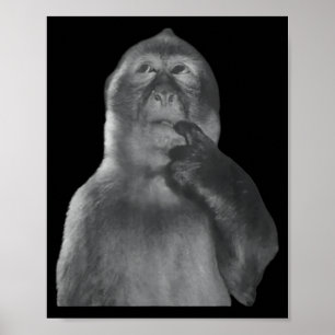 Grappige Denkende Aap Meme Nieuwsgierige Aap Brain Poster