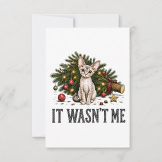 Grappige Devon Rex Katten Kerstmis Het Was Ik Niet Bedankkaart