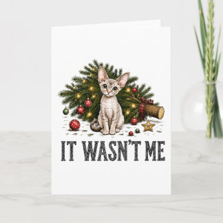 Grappige Devon Rex Katten Kerstmis Het Was Ik Niet Kaart