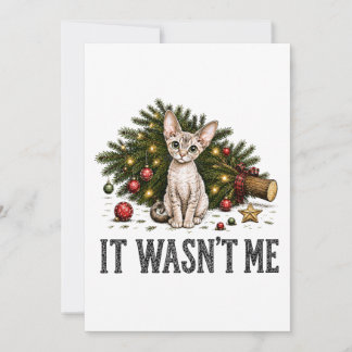 Grappige Devon Rex Katten Kerstmis Het Was Ik Niet Kaart