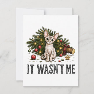 Grappige Devon Rex Katten Kerstmis Het Was Ik Niet Notitiekaartje