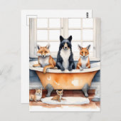 Grappige dieren in bad briefkaart (Voorkant / Achterkant)