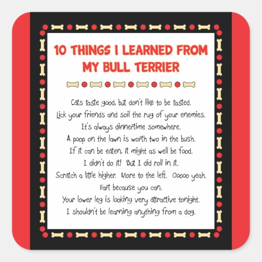 Grappige dingen die ik geleerd heb van mijn Bull T Vierkante Sticker (Voorkant)