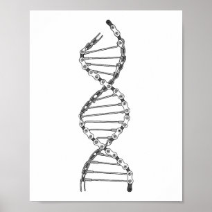 Grappige DNA Fietsen Bicycle Ketting Mountainbike  Poster